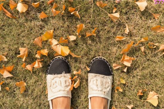 Nuteirosi contact image