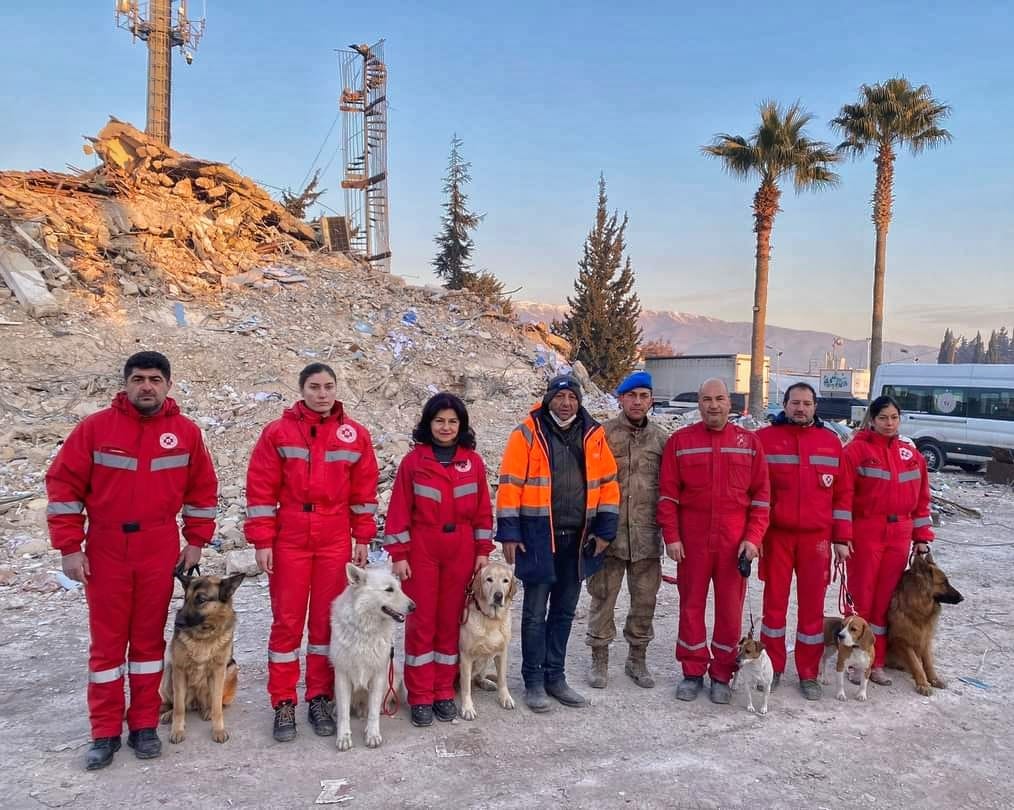 câini salvatori cutremure Turcia